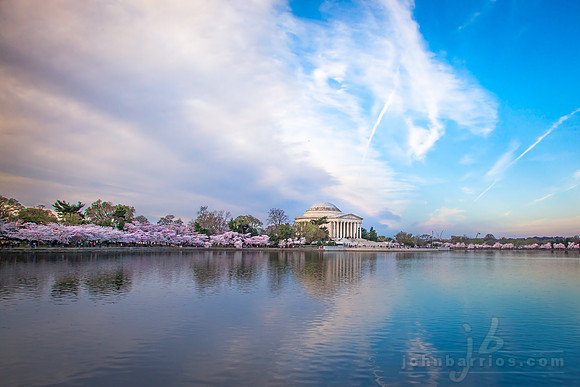 Jefferson Memorial - Cherry Blossoms