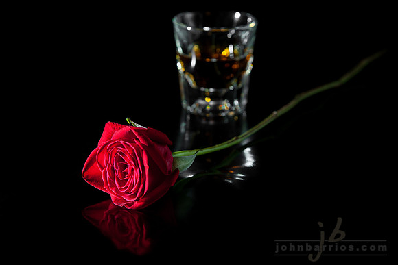 red rose, still life saturday, cognac