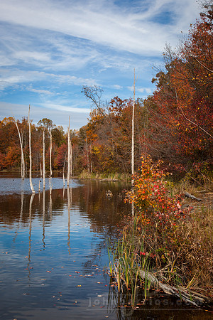 Autumn Colors