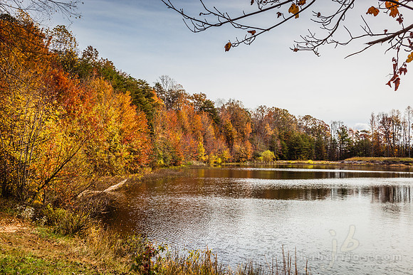 fall colors
