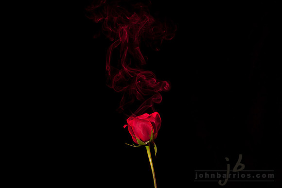 colored smoke, floral friday, red rose, smoke photography, smoking red rose, all things red