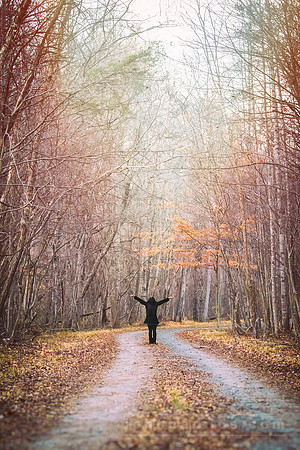 Wooded Bliss
