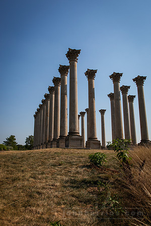 Columns