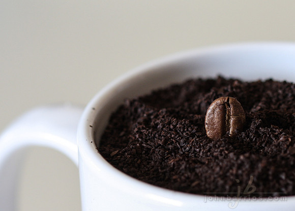 coffee bean