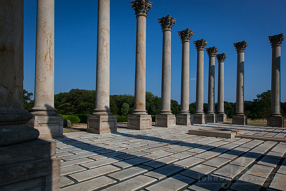 Capitol Columns