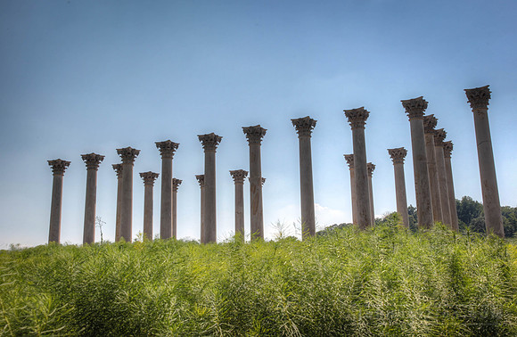 Capitol Columns