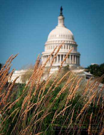 United States Capitol