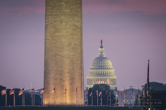 Pink Skies, Washington Monument / United States Capitol Building