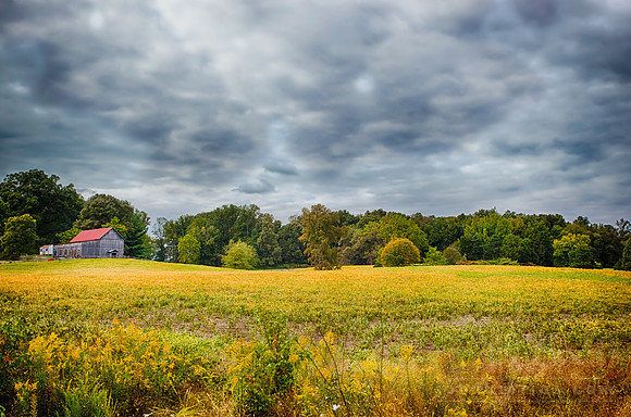 Rural Virginia