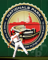 Sports - MLB I