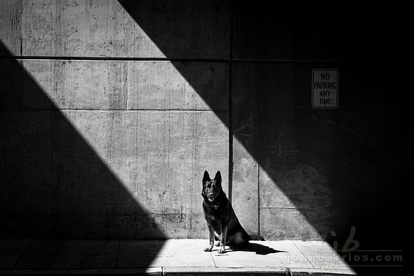Shadow Play